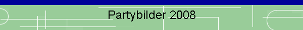 Partybilder 2008