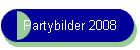 Partybilder 2008