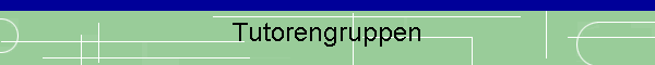Tutorengruppen