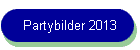 Partybilder 2013