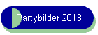 Partybilder 2013